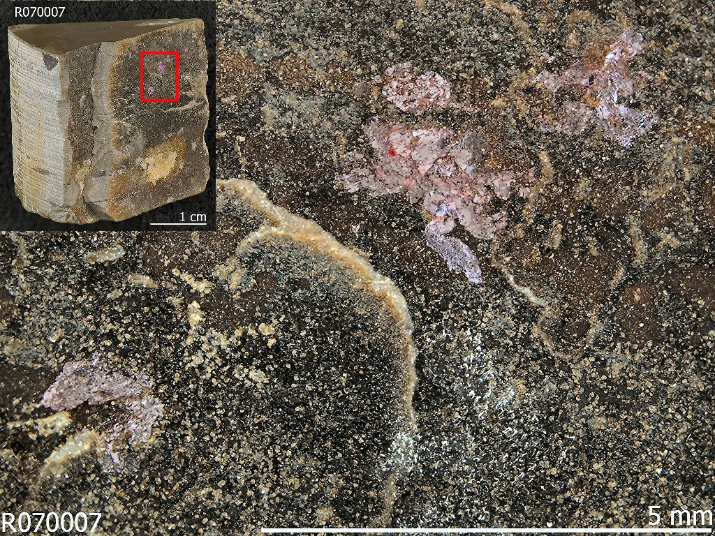 Large Abelsonite Image