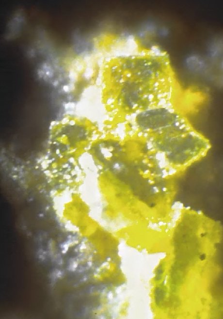 Large Abernathyite Image