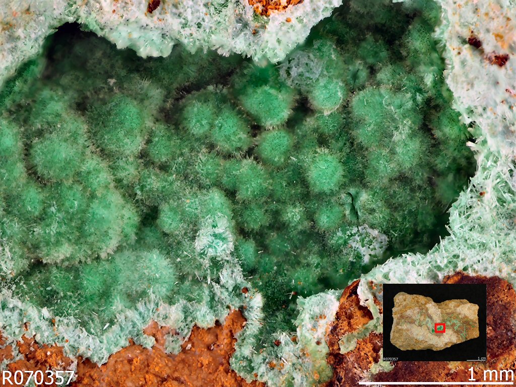 Large Agardite-(Ce) Image