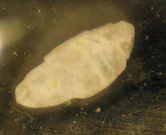 Large Aksaite Image