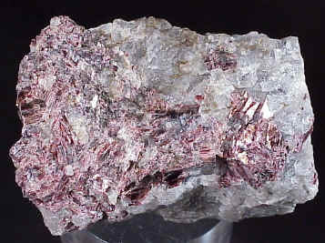 Large Aluminoceladonite Image