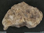 Click Here for Larger Ammoniojarosite Image