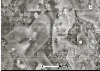 Large Ansermetite Image