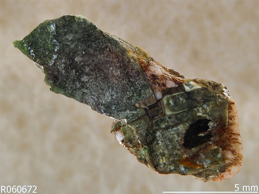 Large Arapovite Image