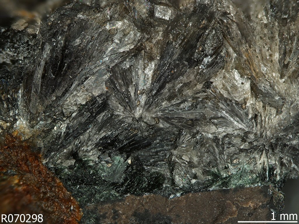 Large Arrojadite-(NaFe) Image