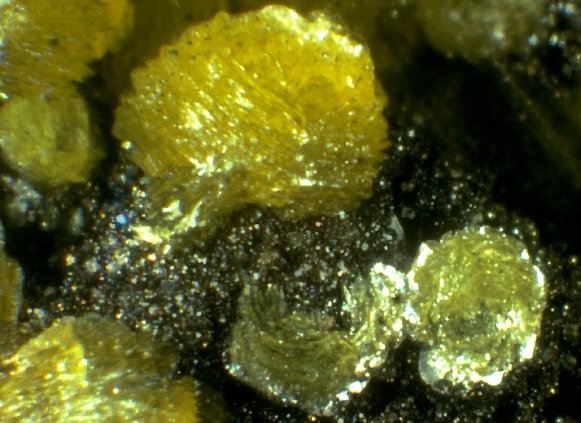 Large Arsendescloizite Image