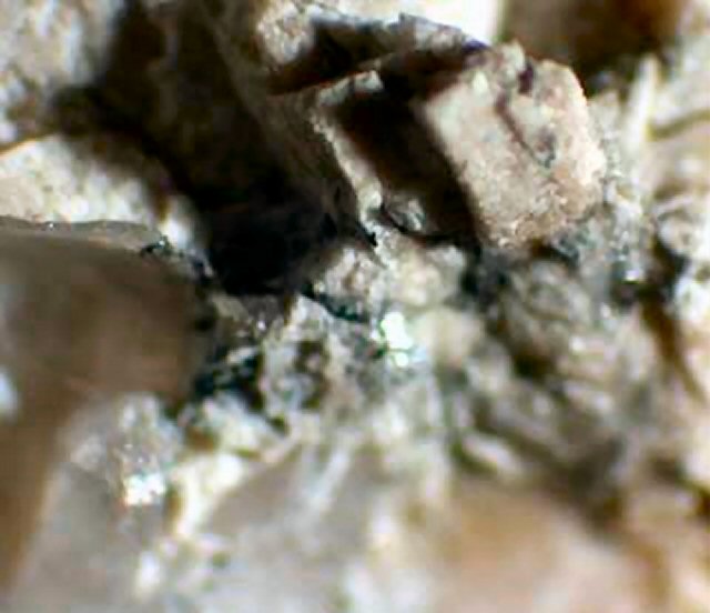 Large Aschamalmite Image