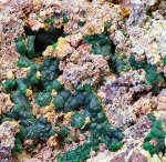 Click Here for Larger Conichalcite Image