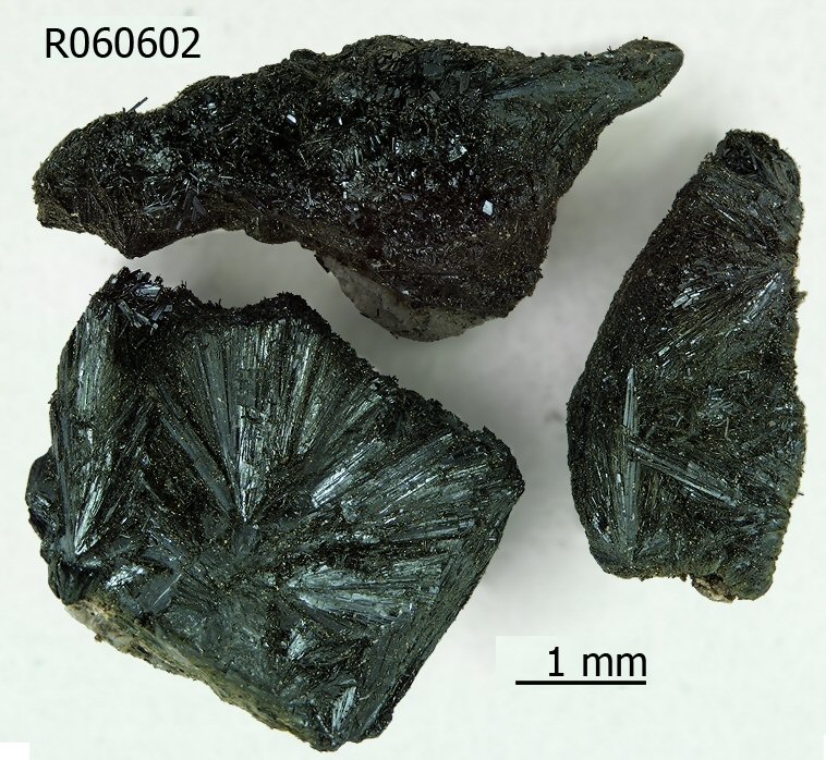 Large Bariandite Image