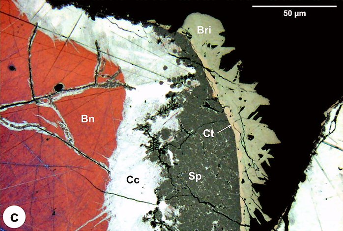 Large Bornite Image