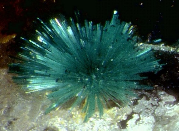 Large Brochantite Image