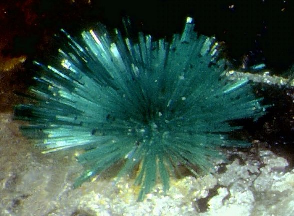 Large Brochantite Image