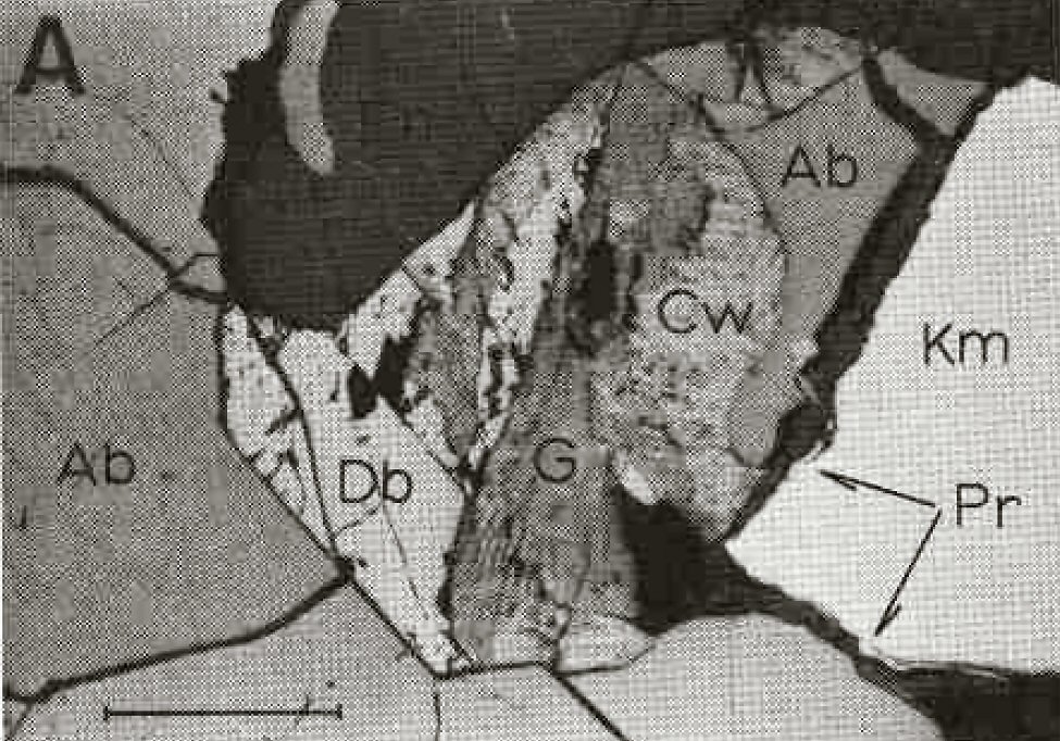 Large Caswellsilverite Image