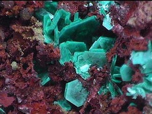 Large Chalcophyllite Image