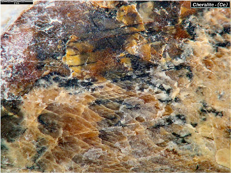 Large Cheralite-(Ce) Image