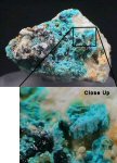 Click Here for Larger Paratacamite Image