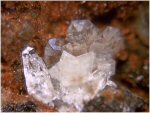 Click Here for Larger Clinohedrite Image