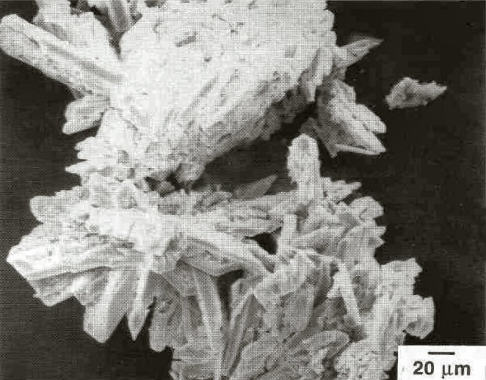Large Coskrenite-(Ce) Image