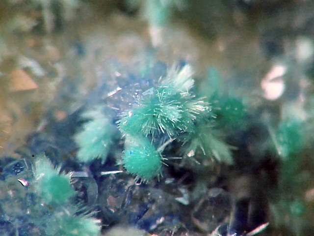 Large Dioptase Image