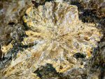Click Here for Larger Ferronordite-(Ce) Image