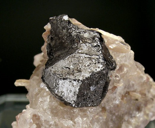 Large Tapiolite Image