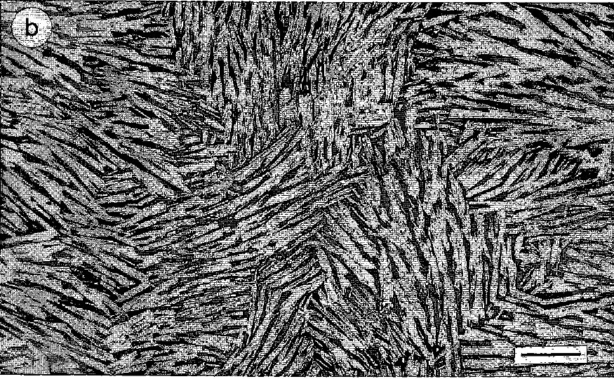 Large Gerenite-(Y) Image