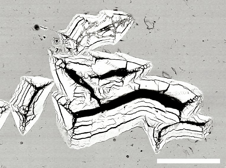 Large Haleniusite-(La) Image