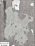Click Here for Larger Hemloite Image
