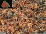 Click Here for Larger Heulandite-K Image