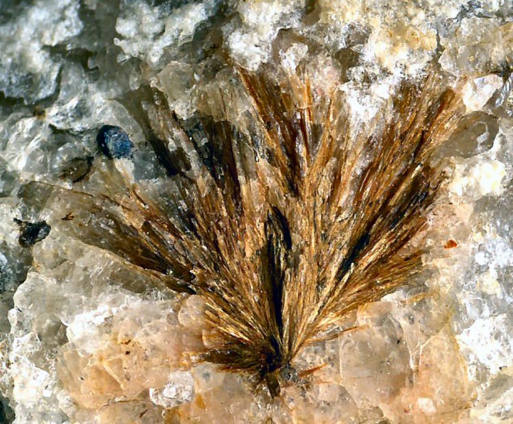 Large Hydroastrophyllite Image