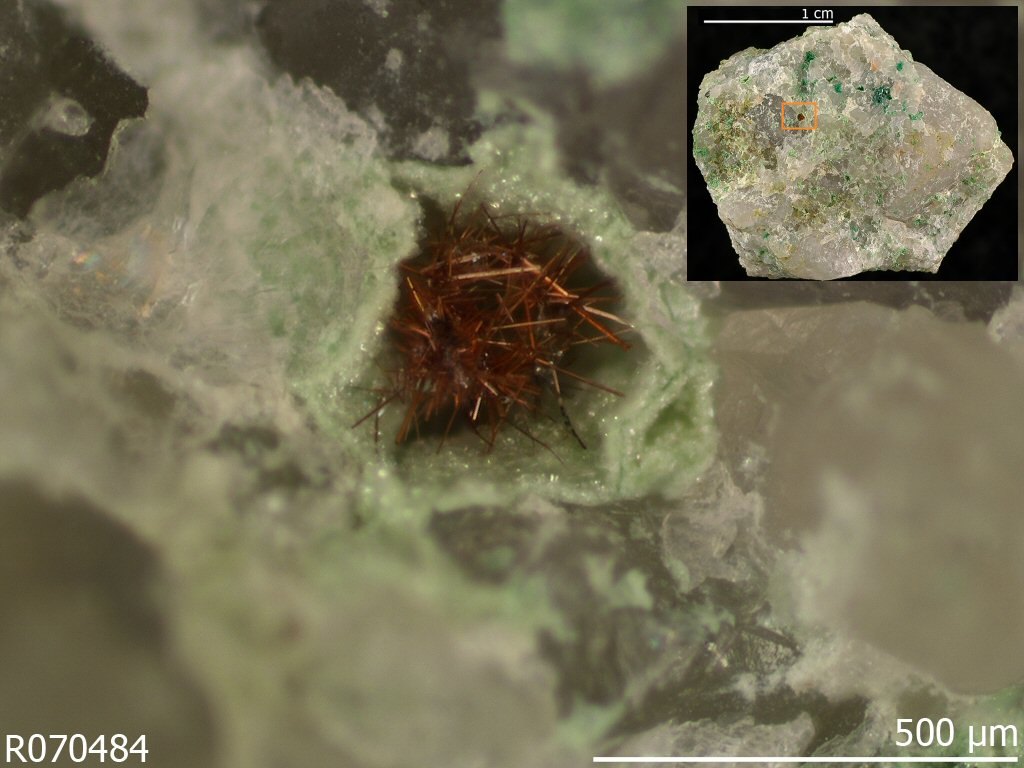 Large Iltisite Image