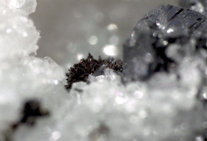 Large Imhofite Image