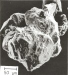 Click Here for Larger Isochalcopyrite Image
