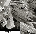 Click Here for Larger Brackebuschite Image