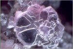 Click Here for Larger Lepidolite Image