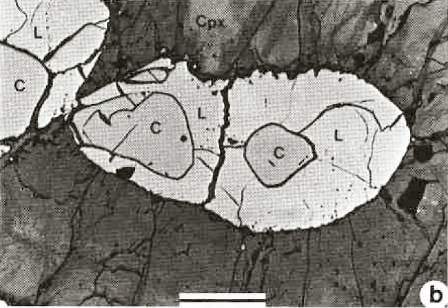 Large Lindsleyite Image