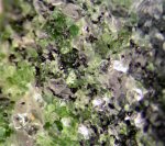 Click Here for Larger Magnesiocoulsonite Image
