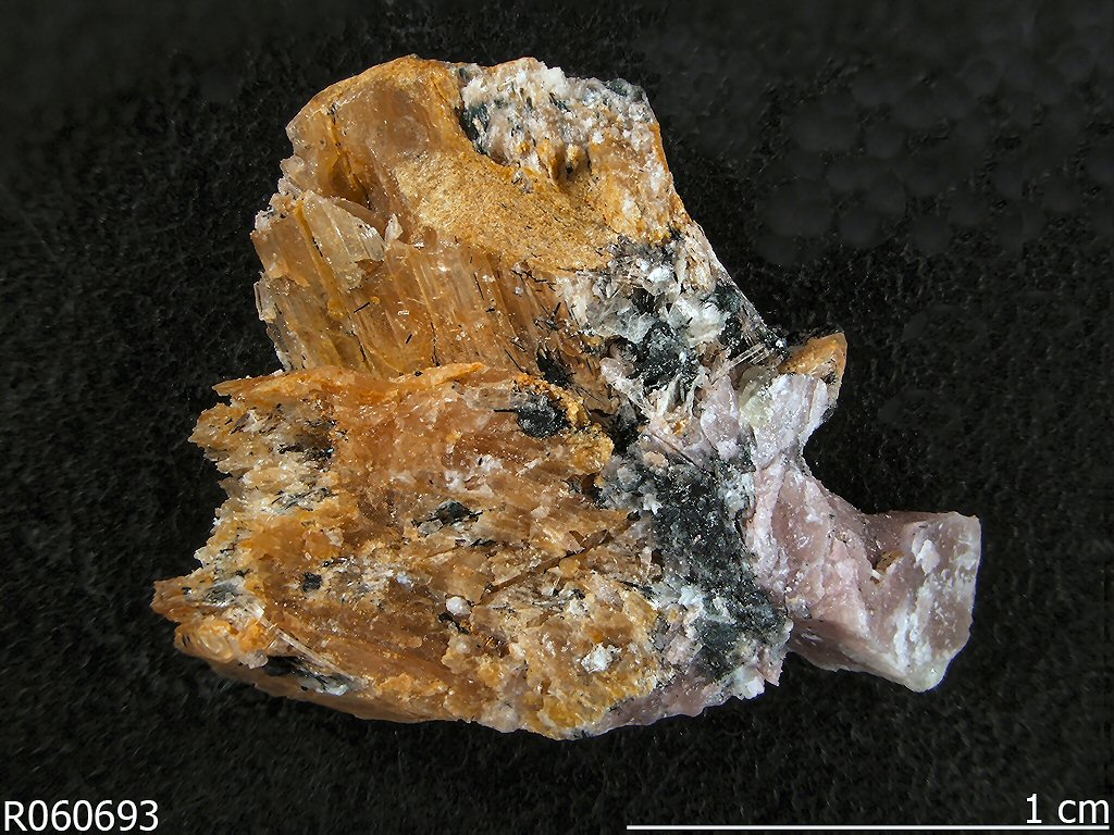 Large Bario-olgite Image