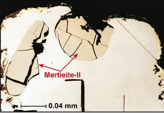 Large Mertieite-II Image