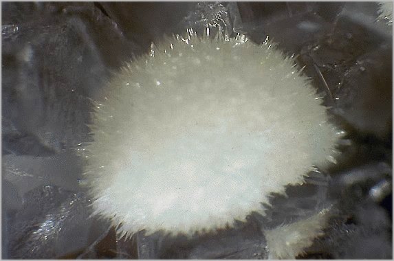 Large Mesolite Image