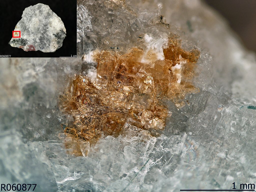 Large Nabalamprophyllite Image