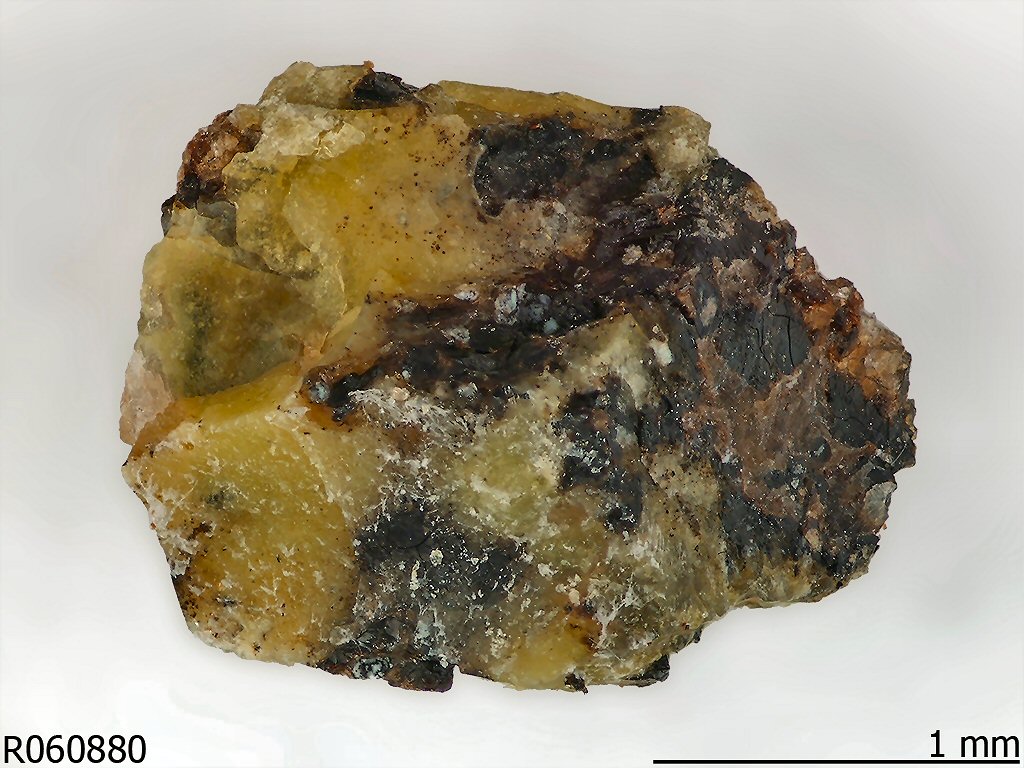 Large Natroboltwoodite Image