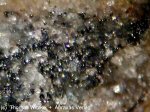 Click Here for Larger Nezilovite Image