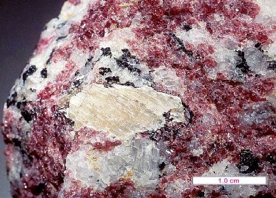 Large Agrellite Image