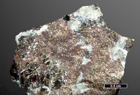 Large Alleghanyite Image