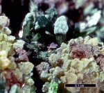 Click Here for Larger Arsenocrandallite Image