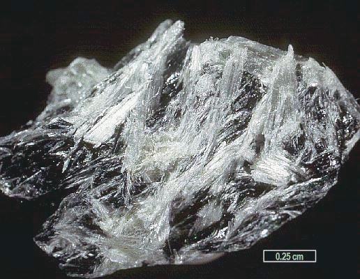 Large Clinojimthompsonite Image