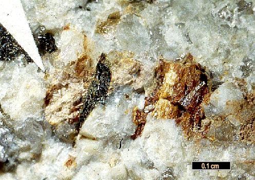 Large Dalyite Image