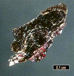 Large Diaoyudaoite Image