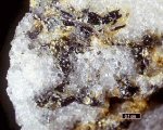 Click Here for Larger Eclarite Image
